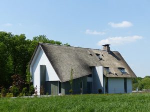 Rietgedekte, Villa, Eigentijds, Architectuur, Handel