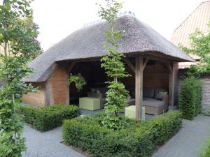 rietgedekt, bijgebouw, eiken constructie, poolhouse